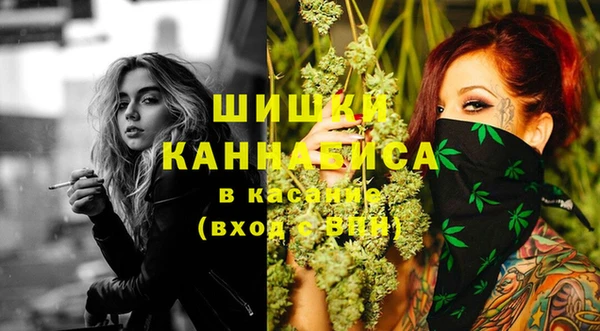 твердый Алексеевка