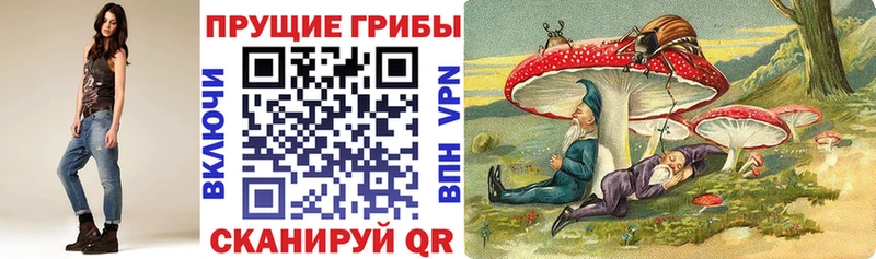 Галлюциногенные грибы Magic Shrooms  Лихославль 