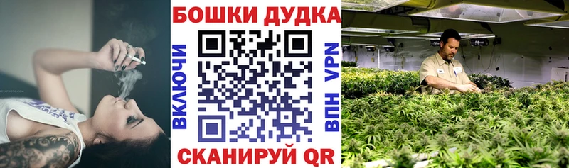 Бошки Шишки планчик Лихославль